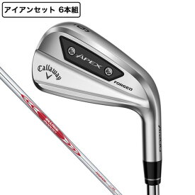 キャロウェイ（CALLAWAY）（メンズ）エイペックス APEX Ai200 アイアンセット 6本(5I〜9I、PW)N.S.PRO MODUS3 TOUR 105