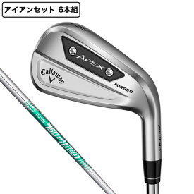 キャロウェイ（CALLAWAY）（メンズ）エイペックス APEX Ai300 アイアンセット 6本(5I〜9I、PW)N.S.PRO 750GH neo