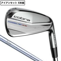 楽天市場】ワンレングスアイアン（メンズクラブ｜クラブ）：ゴルフ 