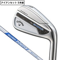 楽天市場】パラダイム アイアンセットの通販