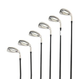 ウイルソンゴルフ（Wilson Golf）（メンズ）D9 アイアンセット 6本(5I〜9I、PW)TENSEI AV Silver