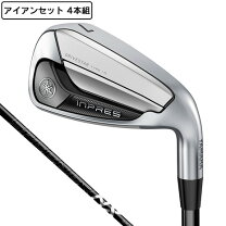 楽天市場】インプレス ドライブスター アイアンの通販