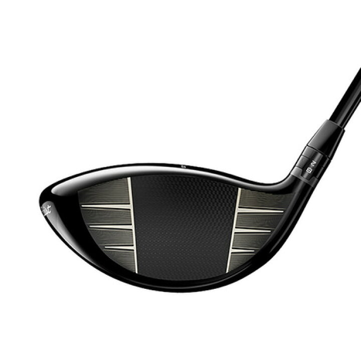 楽天市場】タイトリスト（TITLEIST）（メンズ）GT2 ドライバー(1W 