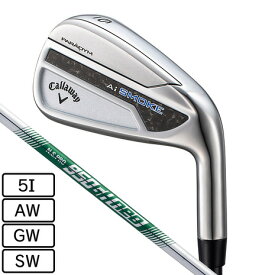 キャロウェイ（CALLAWAY）（メンズ）パラダイム Ai スモーク アイアン N.S.PRO 950GH neo