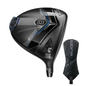 y11/16 23:59܂ SiőP10{vGg[zRuiCobrajiYjywbĥݒPizDSA_vg DS-ADAPT X hCo[(1W tg10.5x)