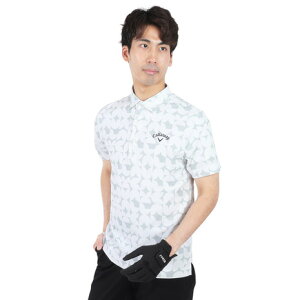 LEFCiCALLAWAYjiYjStEFA z 􉽊wvg RpNg ̎qVc C24134112-1030