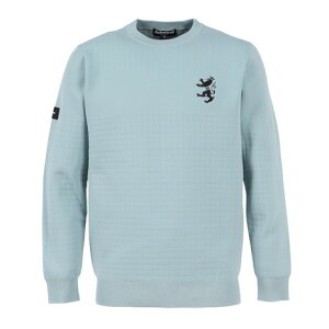 Ah~ StiAdmiral GOLFjiYjStEFA bvWK[h N[lbNZ[^[ ADMA553-BGY