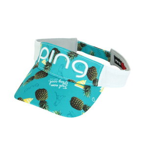 siPINGjifB[XjSt tbVt[coCU[ IW HW-A2308 Ft[cVISOR OR 36811