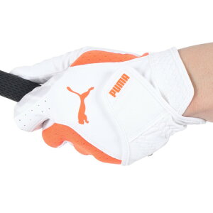 v[}iPUMAjiYjp St p[ Obv O[u 041879