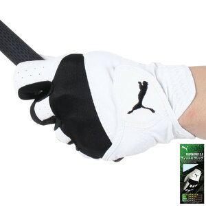 v[}iPUMAjiYjp St t[W Obv O[u 2.0 041881