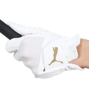 v[}iPUMAjiYjp St Gg[O[u 042000