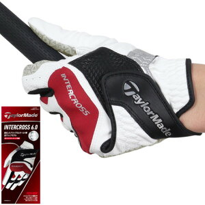 e[[ChiTAYLORMADEjiYjp C^[NX 6.0 O[u UN146