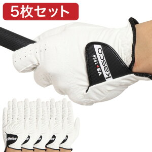 y11/11 1:59܂ ɍőP10{zLXRiKASCOjiYjy5ZbgzSt p VS-TOUR O[u GP-2001 WHT