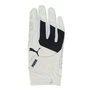 v[}iPUMAjiYjEp PWR Obv O[u E 041880