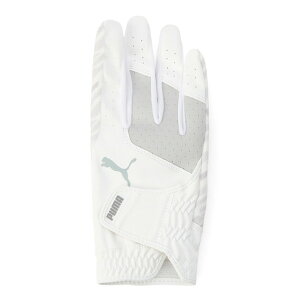 v[}iPUMAjiYjEp PWR Obv O[u E 041880