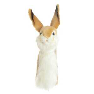 y12/4 20` SiőP10{ vGg[zHANSAiHANSAjiYAfB[XjwbhJo[ ʂ ETM [eBeBp BH8173