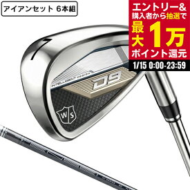【最大1万Pバック エントリー＆抽選 1/15限定】ウイルソンゴルフ（Wilson Golf）（メンズ）D9 アイアンセット 6本(5I〜9I、PW)TENSEI AV Silver