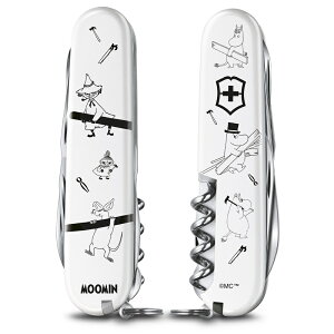 rNgmbNX VICTORINOX  NVbNSD NC}[ [~ e3 k [ Xe[Vi[ G 킢  iCt [~ ObY g~C ~B l  j