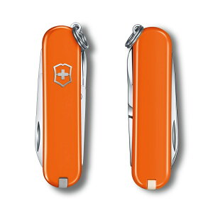 rNgmbNX VICTORINOX  NVbNSD NVbNJ[Y 10F Ki iCt nT~ gїp G s ֗ObY  [ L[z_[ uh  킢 a Mt