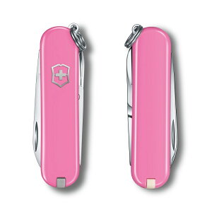 rNgmbNX VICTORINOX  NVbNSD NVbNJ[Y 10F Ki iCt v`Mtg fXN   G v[g  킢 l L[z_[ [ s 