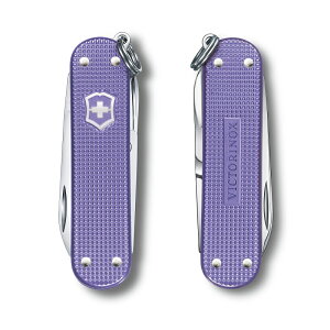 rNgmbNX  VICTORINOX NVbNALOX 10F NVbNJ[Y Ki h iCt ֗ObY G  v[g  fXN  킢 l ֗ L[z_[ 