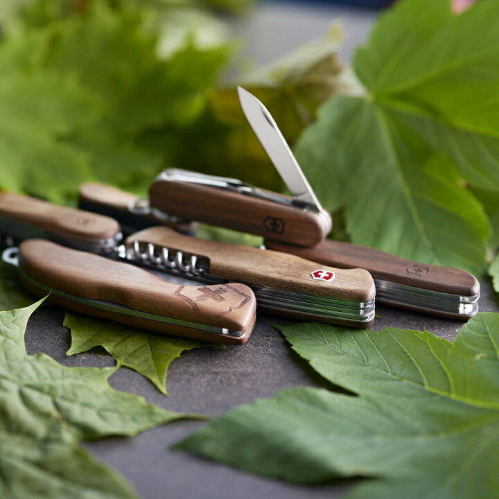 楽天市場】【公式限定レビュー特典】ビクトリノックス VICTORINOX 公式 