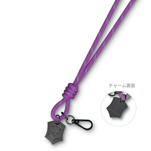 yzrNgmbNX VICTORINOX lbNXgbv S3F Live to Explore RNVy{KizX}z Xgbv X}zV_[ X}zXgbv  ەR g Ј IDJ