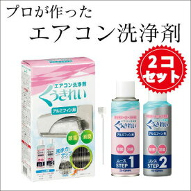 【送料無料】【エアコン洗浄剤】【2個セット】 くうきれい アルミフィン用 カビ 洗浄 除菌 消臭 エアコン 掃除 きれい エアコン掃除 クーラー クリーナー 冷暖房 アルミフィン 内部洗浄 便利 簡単