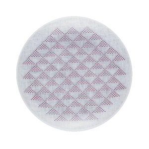 _P2{{N[|^ toumei×DOTS `  ܂߂ 11cm ؔ `O  H M M gEC aH@a 