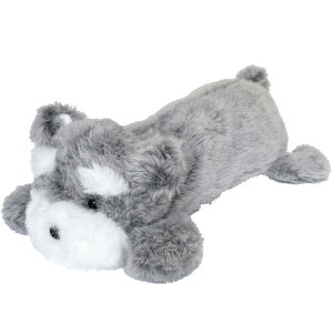 Aj} ʂ |[` `O  TY040 yP[X tBMA|[` N}  ViEU[ p_ Ђ悱 ˂ NlR L L MLp 