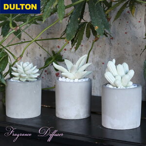 _g tOX fBt[U[ g WF JN^X AG G875-959 T{e  [tOX A} F   tFCNO[