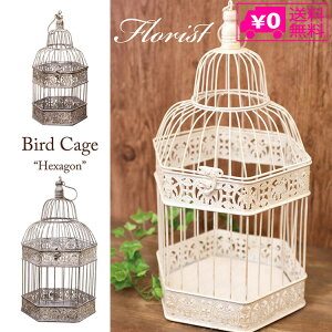 _P2{{N[|^  o[hP[W wLTS NBC903HX t[Xg Hf 2Zbg Wp CeA  fBXvC AeB[N