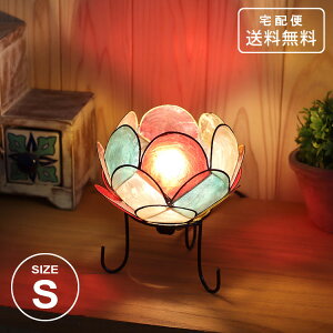 JsX [^X v STCY }`J[  L AWA Cg ԐڏƖ e[uCg g  t[ @ tAv nhCh