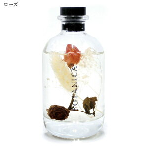 _P2{{N[|^ {^jJ t[EN[ fBt[U[ S 100ml OND-050 fBt[U[ Old&New A} F hCt[ XeBbN CeA  i` VR