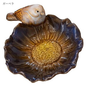 t[o[h gC ~jgC   ANZT[gC CeA g[ M  Ђ܂  JA K[x