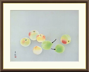 G A[g t[ ьÌa َq  J2-046 F8 F6 F4   z p 10Nԕiۏ  i