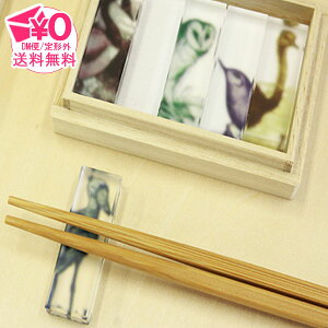 y[֑z toumei sNgA bird@hashioki u Lb` G Aj}  _`E JKX tNE nVrRE Ji_K  Ƃ g o[h j[N IV