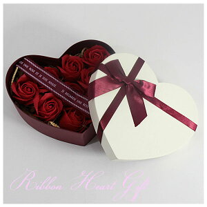 Q-FLA {n[gMtg 76109 KN ΂ oX\[v Ό  oXObY t[\[v Mtg ̓ o^C zCgf[ LO n[g o  t[Mtg v[g 