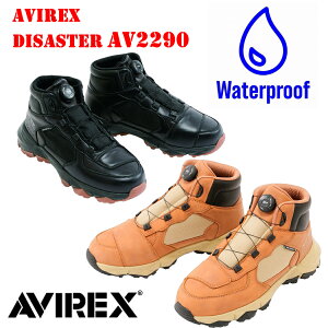 ABbNX AVIREX fBUX^[ AV2290 hdl EH[^[v[t oCN Xj[J[ V[Y AEghA _CbN t[bNVXe TCY23cm`29cm J[FS[h/x[