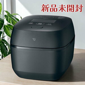 �ۈ�}�z�[�r�� ���ъ� NX-AA10-BZ 5.5�� �������� ��