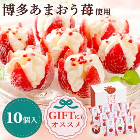 【ポイント5倍★11日9:59迄】花いちごのアイス アイス あまおう 博多あまおう A-DS 送料無料 10個 苺アイス イチゴ 苺 スイーツ デザート ギフト かわいい 華やか フルーツ プレゼント お祝い 結婚祝い 夏 夏ギフト お中元 御中元【TD】 【代引不可】【ギフ食】[2507DE]