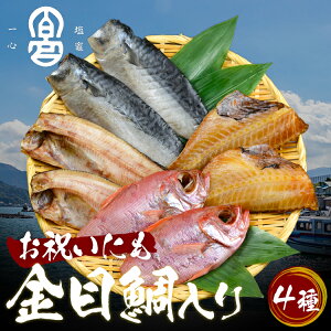  Zbg  I ڑ HS10-GPI lߍ킹 Ђ ԋ{X {錧 s s ڑ ԋ  To ԋ Ԃ 蕨  䒆 ̓ Mtg v[g O hV