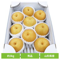 山形県産刈屋梨 約3kg（7〜9玉） 山形県産 刈屋梨 和梨 お取り寄せ 送料無料 産地直送 フルーツ ご褒美 …