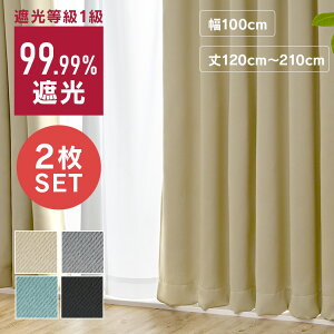 J[e Ռ 1 킢 J[e IP [o 100cm 2g 1Ռ ՔM fM Ռ ۉ  h[v k 􂦂 ȃGl 120cm 135cm 178cm 200cm 210cm x[W ubN O