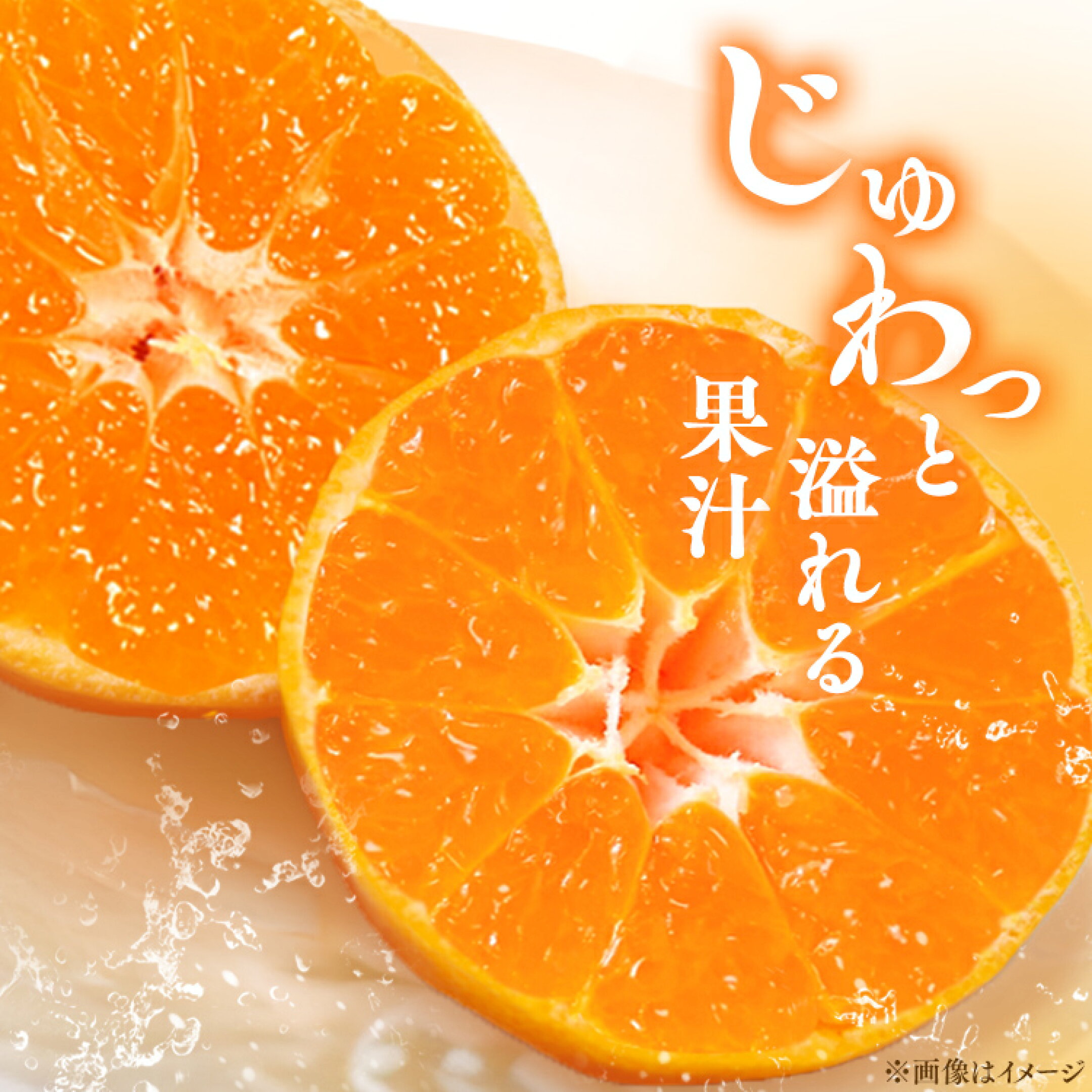 宇和島青果市場 宇和島極早生みかん 早生みかん 上品 甘み 産地直送 3kg 5kg