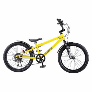 �y�����ԁzD-Bike�r�[�G���G�N�X�g���[�g20 �q���p ���]�� D-BIKE ��蕨 �j BMX �}�E���e�� ���������� �A�E�g�h�A ides �yTD�z �y����s�z