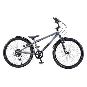 �y�����ԁzD-Bike�r�[�G���G�N�X�g���[�g24 �q���p ���]�� D-BIKE ��蕨 �j BMX �}�E���e�� ���������� �A�E�g�h�A ides �yTD�z �y����s�z