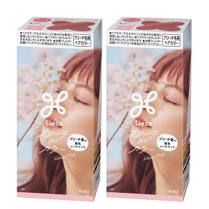 �y2�Z�b�g�z�u���[�` �� ���̖� ���[�[ �u���[�`�I���J���[ �ԉ� ���[�[ �Z���t�J���[ �w�A�J���[ �p�X�e���J���[ �F�����΍� �A ��A���J������ �g���[�g�����g�� Liese R�I�����W �t��