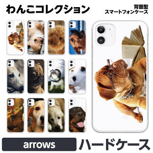 arrows e We2 We N 5G Be4 Plus Be3 J NX9 RX U n[h X}[gtH X}z P[X Jo[ brains yA Jbv  Ck  hbO Aj} QLJ  킢 uhbO R[M[ X