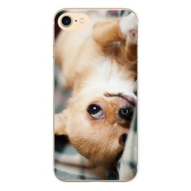 AQUOS R SH-03J SHV39 604SH 用 ハード スマホ ケース カバー WANKO B イヌ 犬 ワンコ 写真 どうぶつ 動物 おもしろ ギフト グッズ かわいい / スマートフォン スマホケース スマートフォンケース スマフォケース Android アンドロイド ハードケース ケースカバー